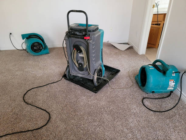 Best Commercial water damage restoration  in Discovery Bay, CA
