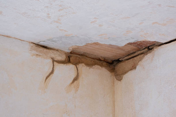 Best Ceiling water damage repair  in Discovery Bay, CA