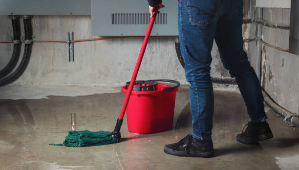 Best Water damage restoration company  in Discovery Bay, CA