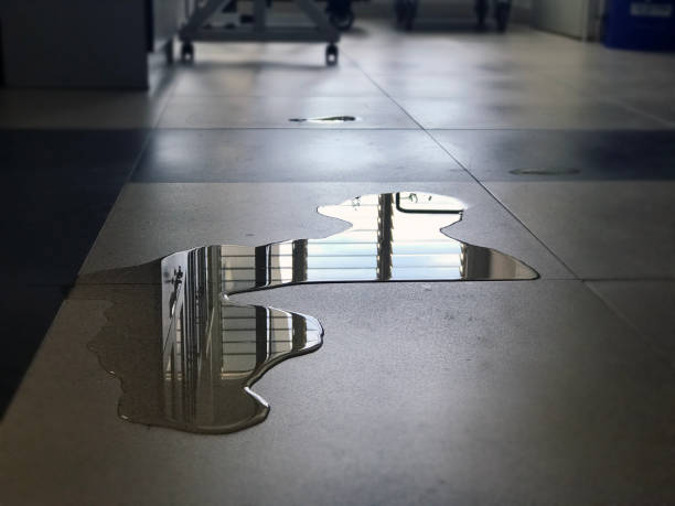 Best 24-hour water damage restoration  in Discovery Bay, CA