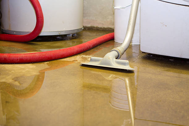 Best Flood damage cleanup  in Discovery Bay, CA