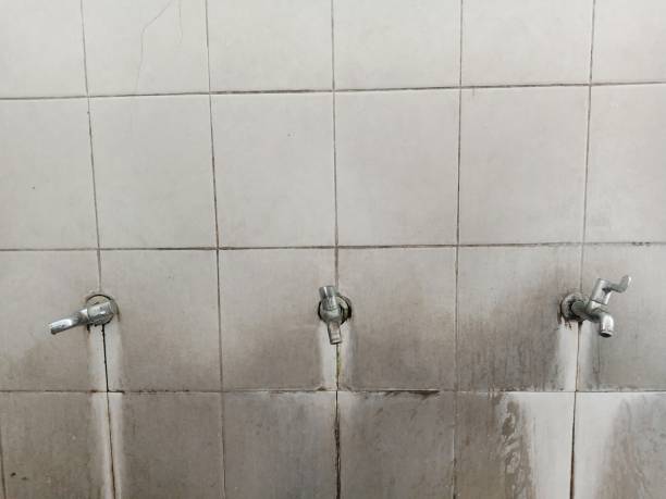 Best Flood damage cleanup  in Discovery Bay, CA