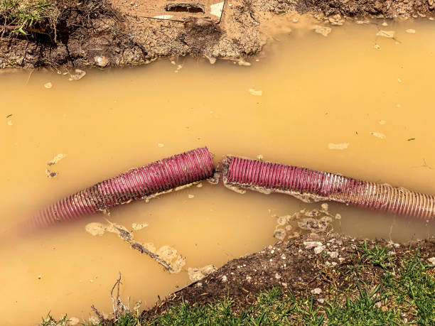 Best Water damage cleanup near me  in Discovery Bay, CA