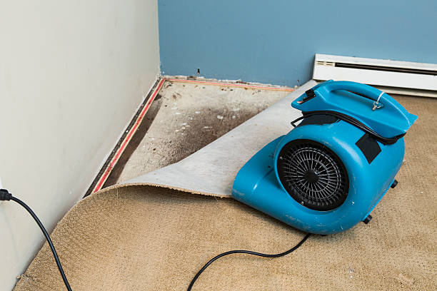Best Sewage cleanup and water damage restoration  in Discovery Bay, CA